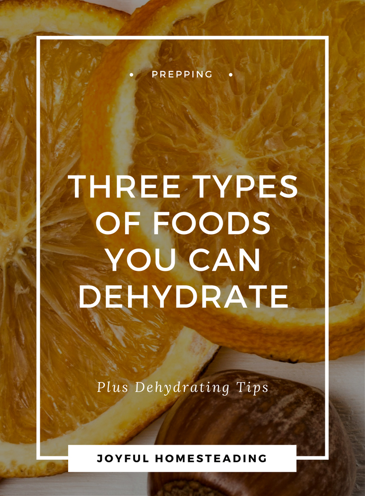 how-to-dehydrate-food