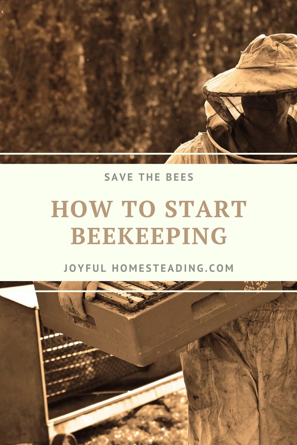 How to Start Beekeeping