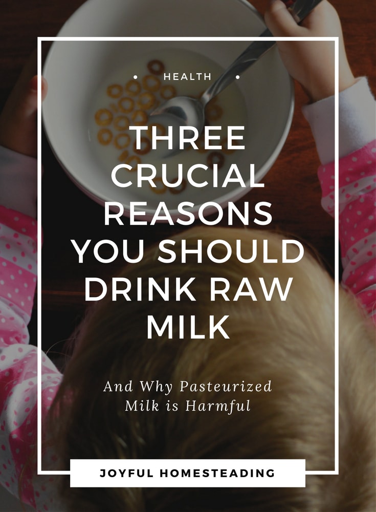 Raw Milk Benefits - Why Bessie Needs To Get Out Of The Factory And Back ...