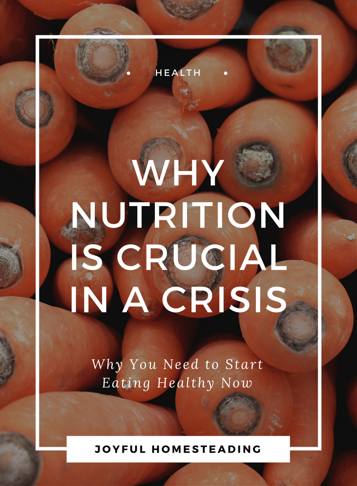 Why Is Nutrition So Important