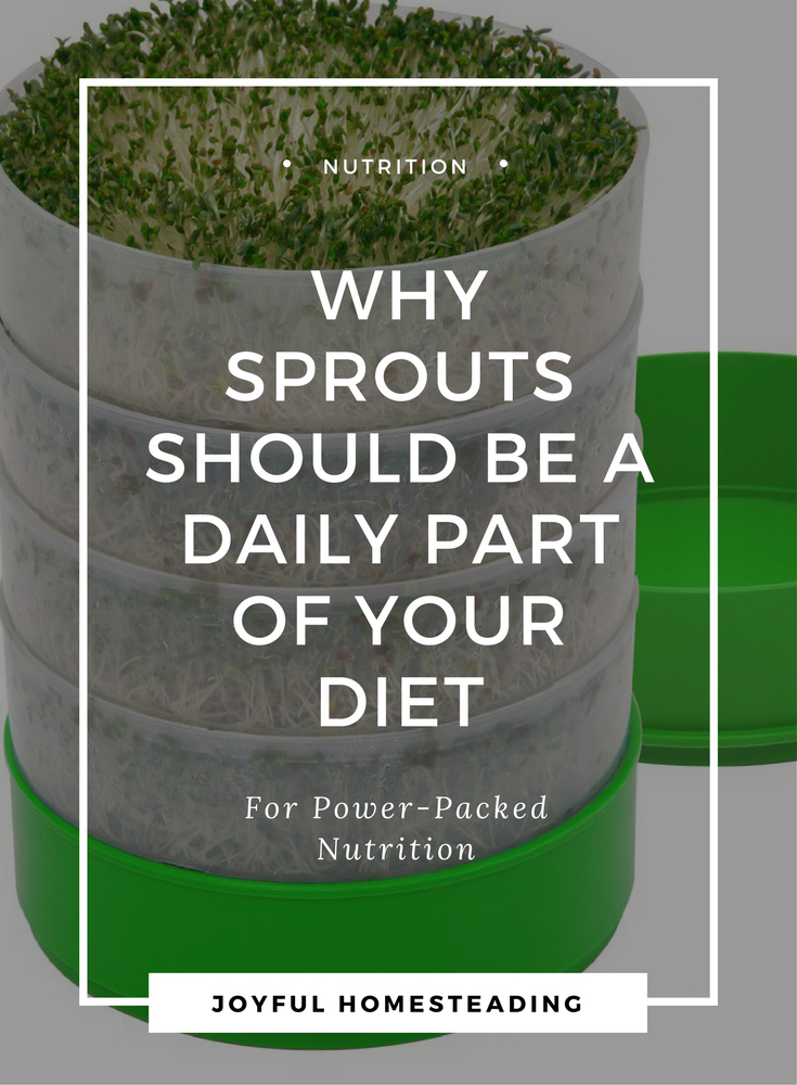 The Nutritional Value Of Sprouts