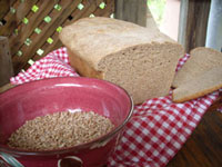 Make your own fresh flour using a grain mill.